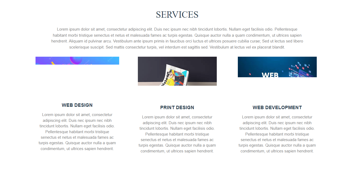 Digital Success Showcase Portfolio website for freelancers and small Business Solutions