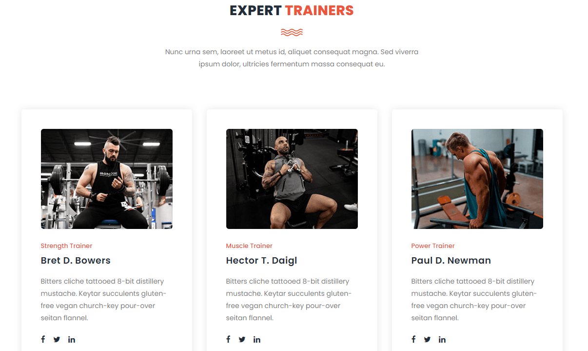 We Develop Gym, Fitness, workout website for your gym